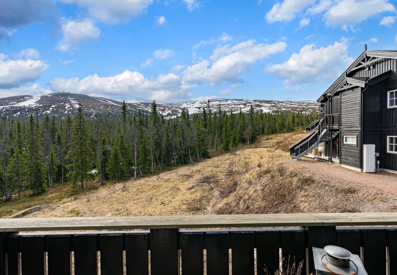 Apartment in Trysil - Trysil Family Lodge, sauna, ski in,out