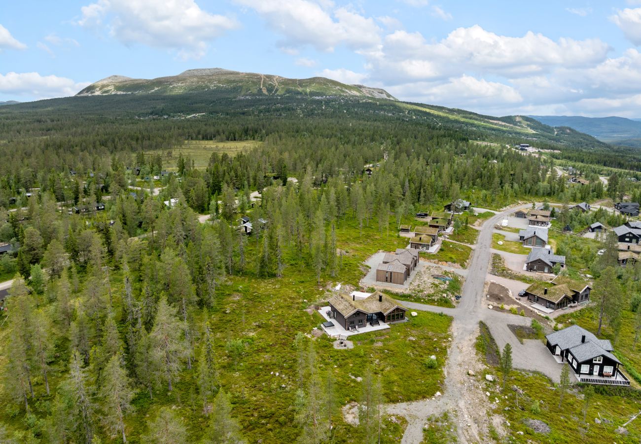 Chalet in Trysil - Luxury Ski chalet in the Norwegian mountains