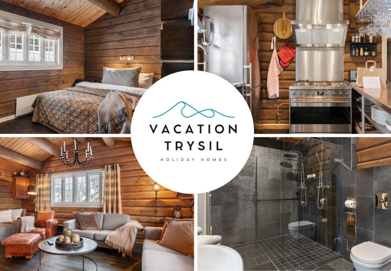 Villa i Trysil - FA636 - Cozy cabin, with outdoor jacuzzi