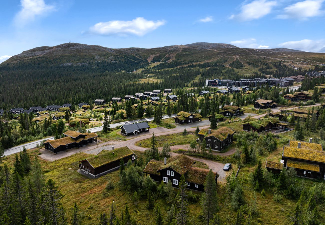 Villa i Trysil - Fageråsen 811, Trysil, Ski out, sauna, 9 pax