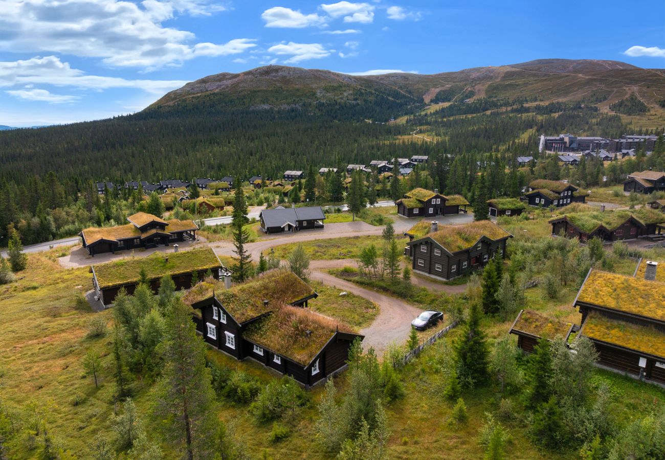 Villa i Trysil - Fageråsen 811, Trysil, Ski out, sauna, 9 pax