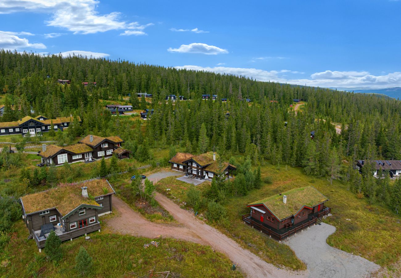 Villa i Trysil - Fageråsen 811, Trysil, Ski out, sauna, 9 pax