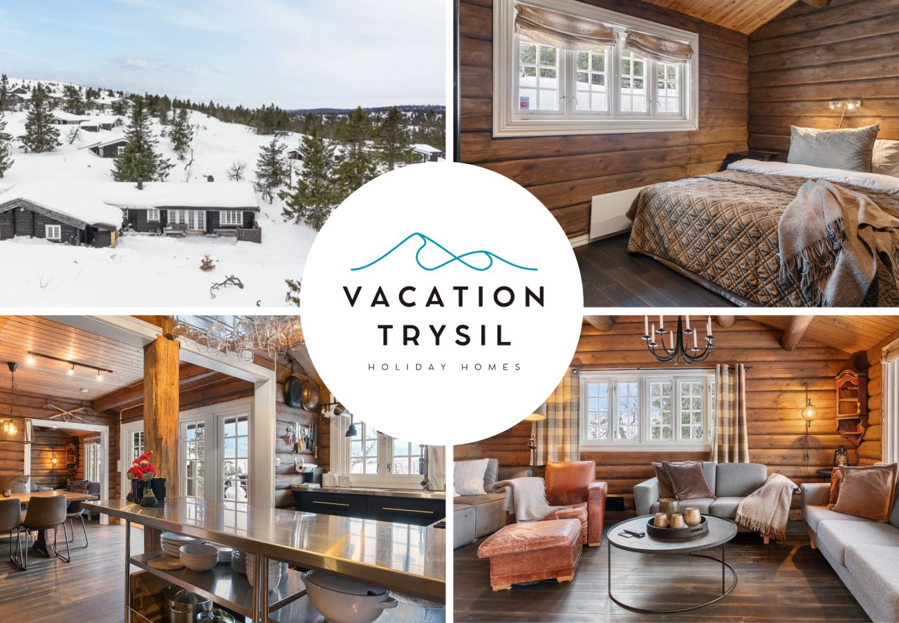 Hus i Trysil - FA636 - Cozy cabin, with outdoor jacuzzi