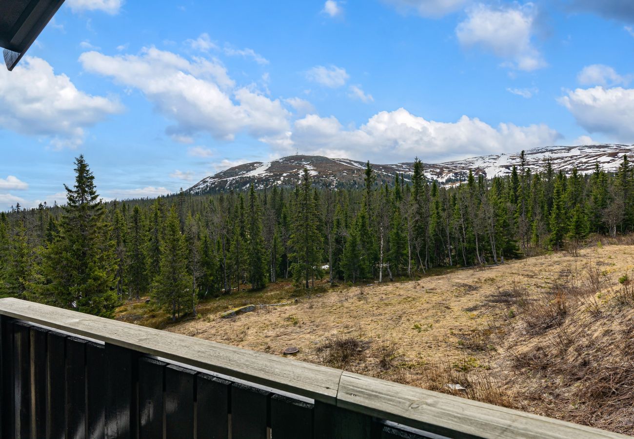 Leilighet i Trysil - Trysil Family Lodge, sauna, ski in,out