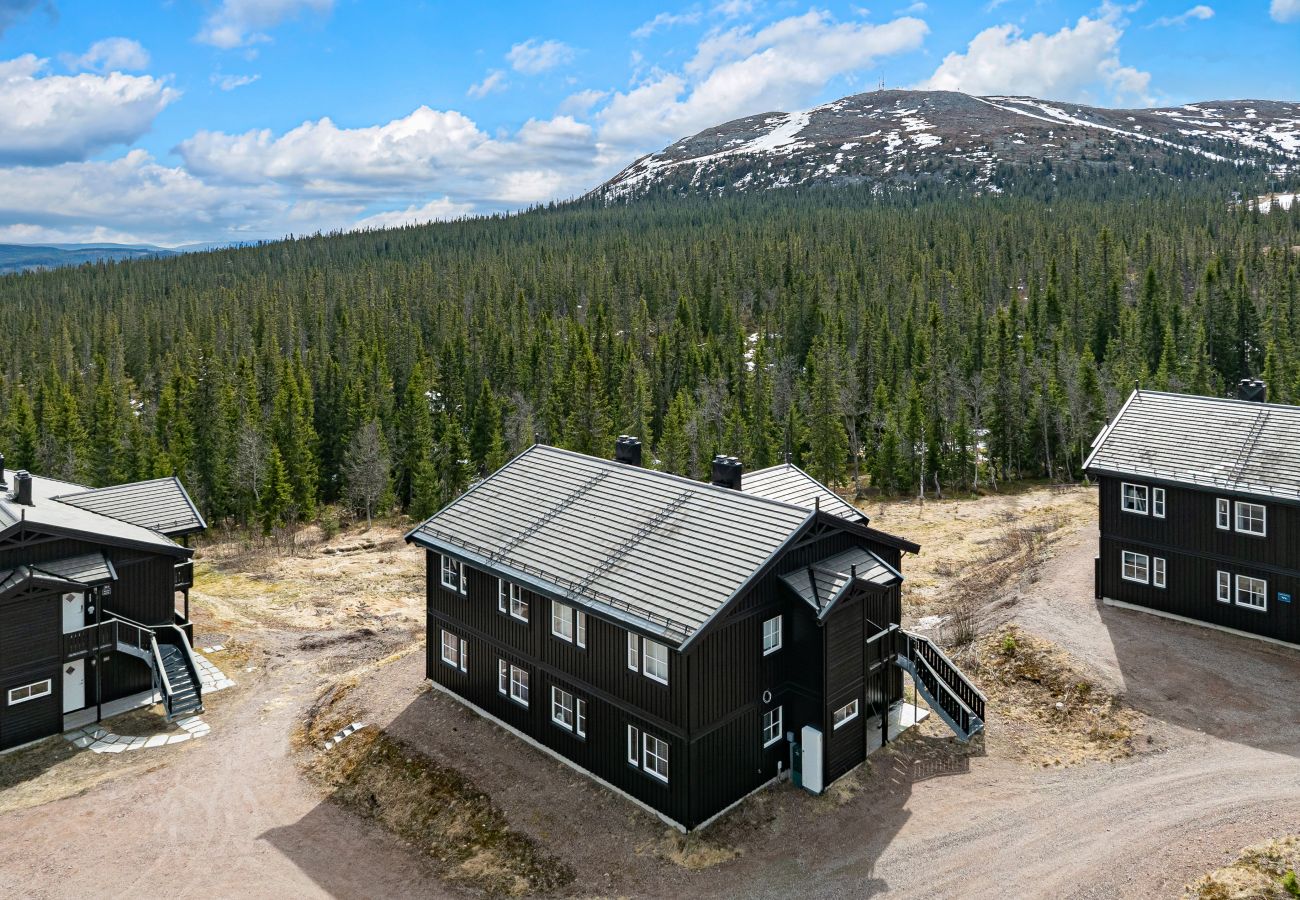 Leilighet i Trysil - Trysil Family Lodge, sauna, ski in,out